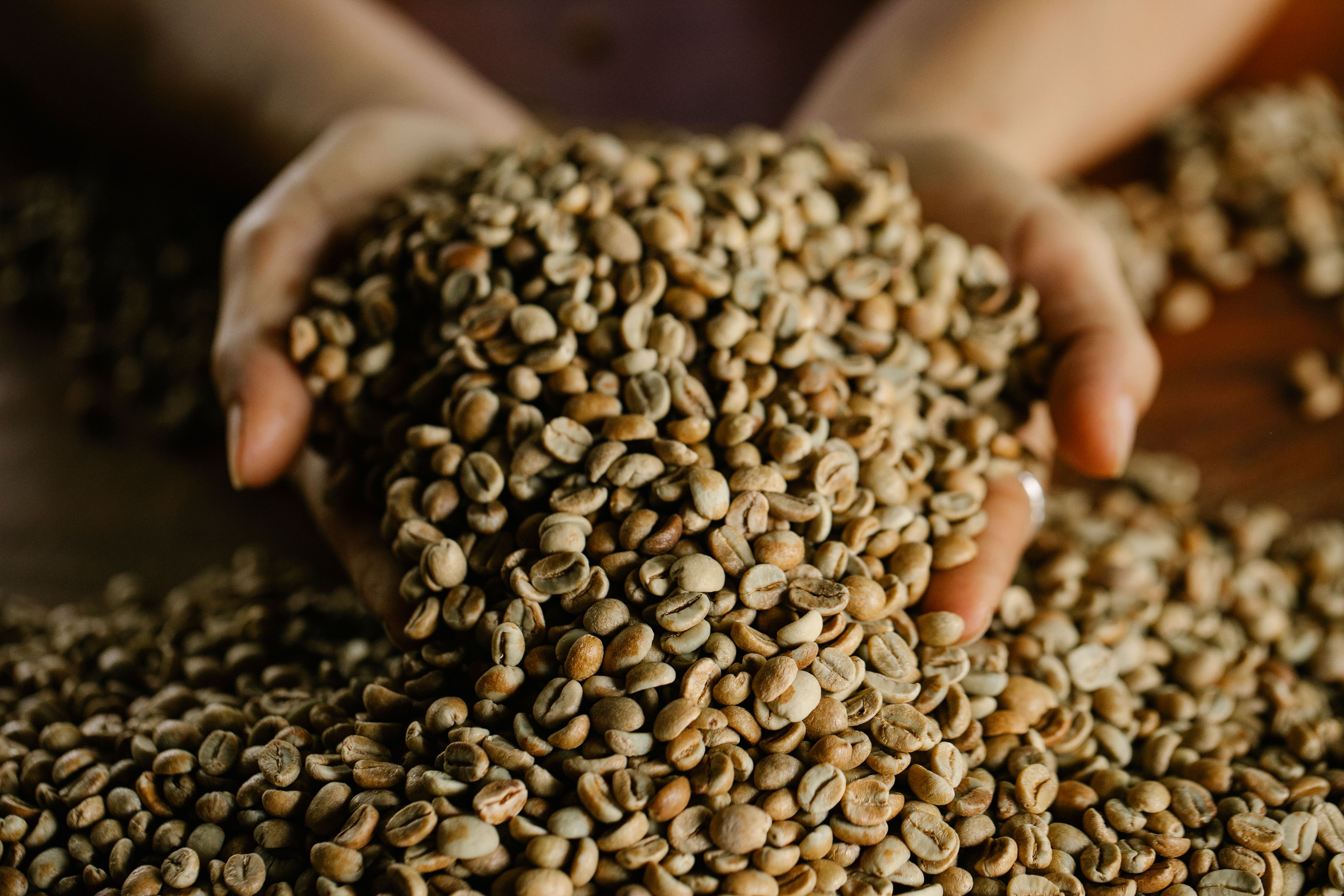 Green Coffee Bean Extract